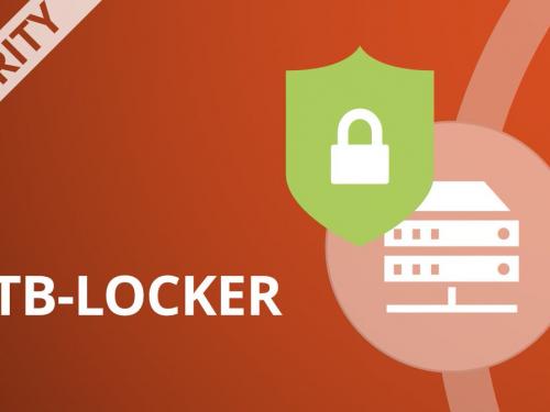 Instrucțiunea privind combatere a virusului „CTB-Locker”