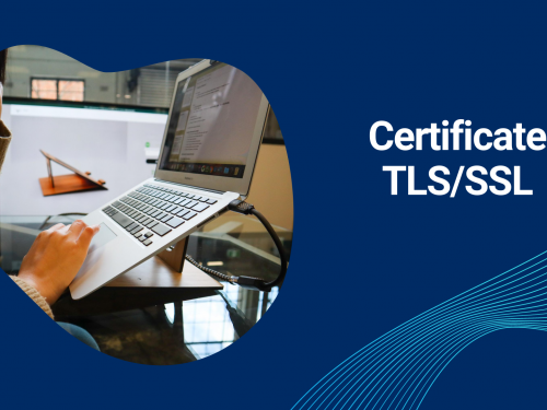 Certificatul TLS/SSL - garant al siguranței și confidențialității datelor expediate pe internet